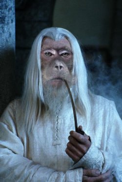 Gandalf ! Transformé en singe ? Impossible !!!